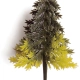 Sapin volume bicolore
