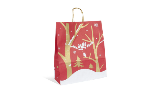 Sacs papier poignées ficelle 35x 14 x 40 cm Fenris Junior