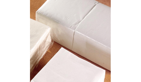 Serviette blanche 1 pli 30x30 carton de 5000