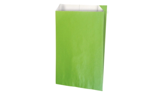 Pochette cadeau vert anis 16 x 8 x 27 cm - Sachets cadeaux