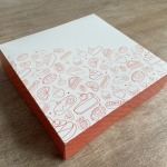 Boites pâtissières Camaïeu 20 x 5