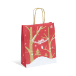 Sacs papier poignées ficelle 18 x 8 x 22 cm Fenris Junior