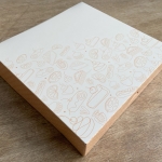Boites pâtissières Camaïeu 23 x 5