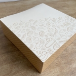 Boites pâtissières Camaïeu 25 x 8