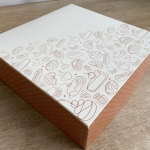 Boites pâtissières Camaïeu 28 x 8