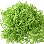 Frisure papier vert 1Kg