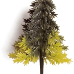 Sapin volume bicolore