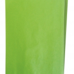 Pochette cadeau vert anis 24 x 7,5 x 41 cm - Sachets cadeaux